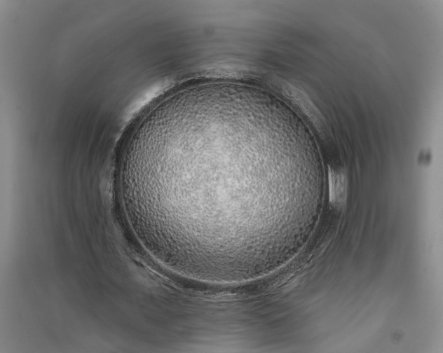 X0000091370675200708171546