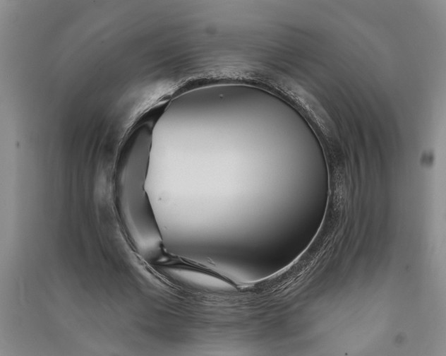 X0000091370677200708171545