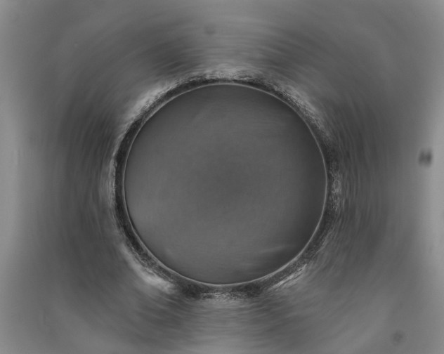 X0000091370678200708171545