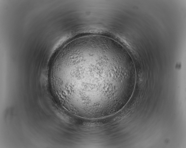 X0000091370679200708171545