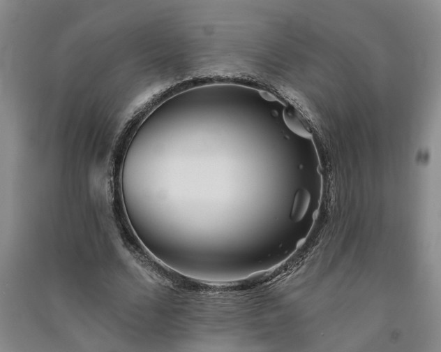 X0000091370680200708171545