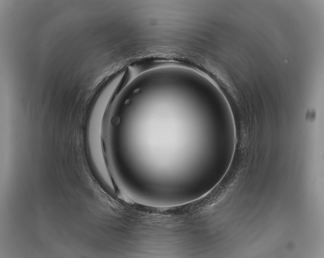 X0000091370681200708171545