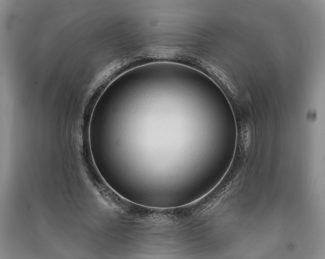 X0000091370682200708171545