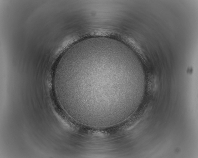 X0000091370683200708171545