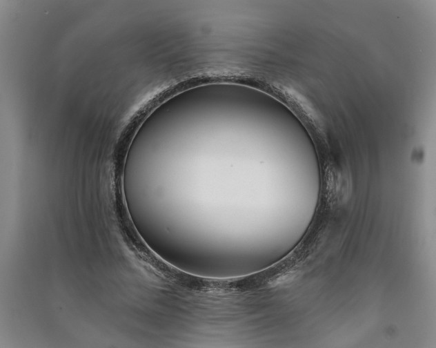 X0000091370684200708171545