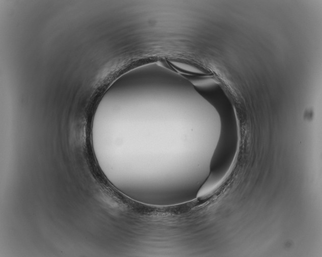 X0000091370685200708171545