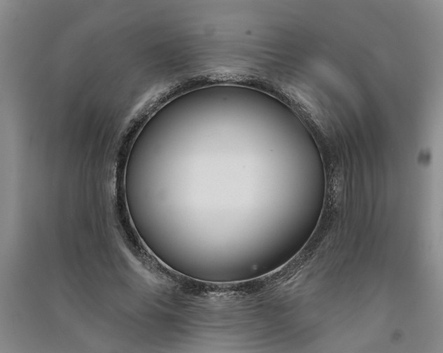 X0000091370686200708171545