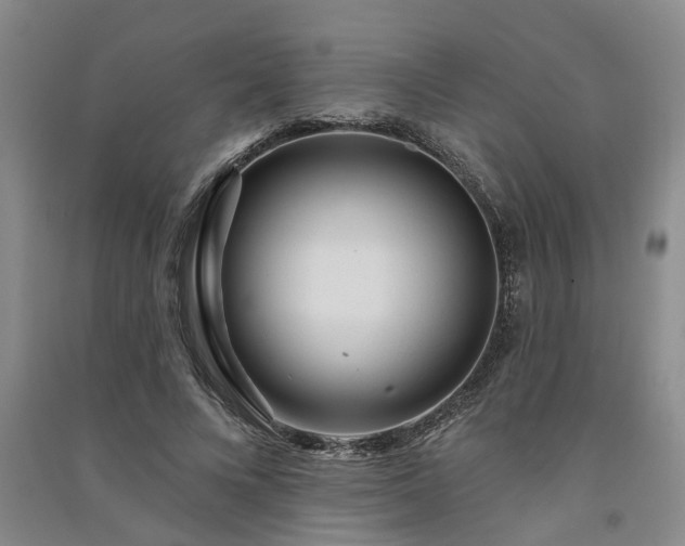 X0000091370688200708171545