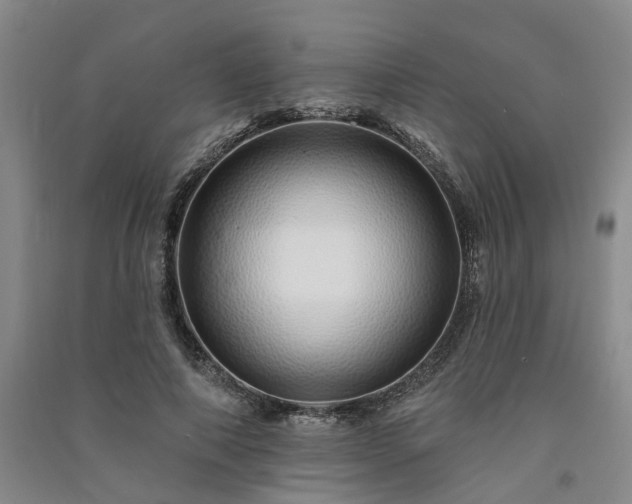 X0000091370690200708171545