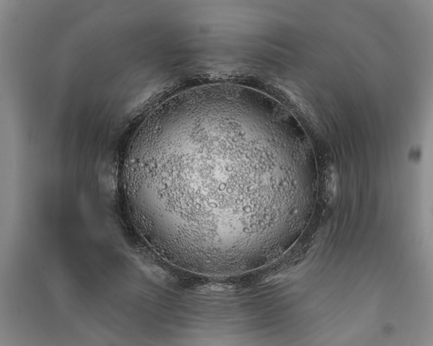 X0000091370691200708171545