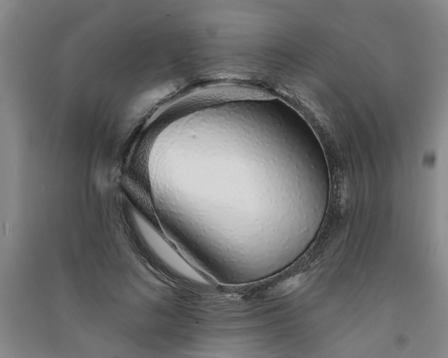 X0000091370692200708171545