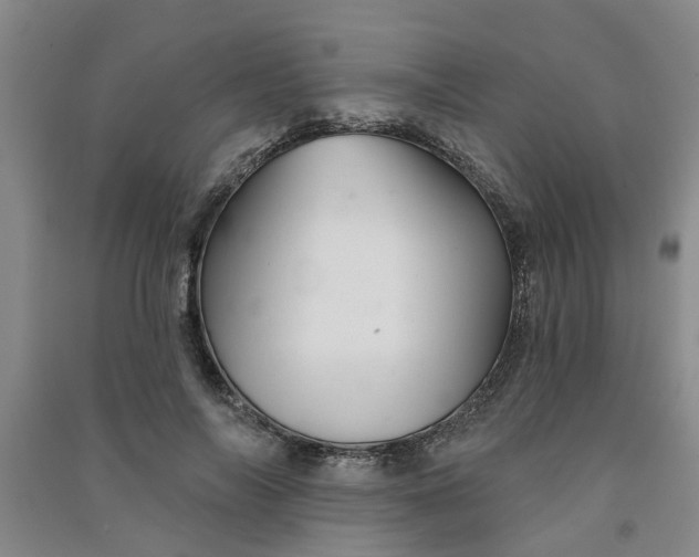 X0000091370694200708171545