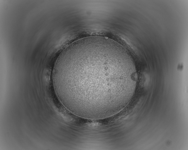 X0000091370695200708171545