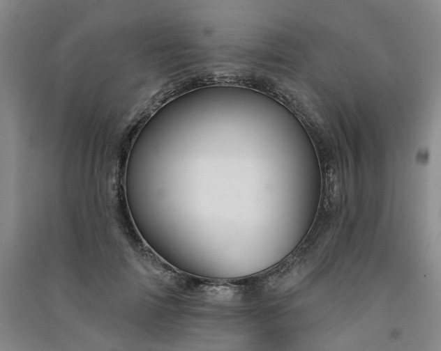 X0000091370698200708171545