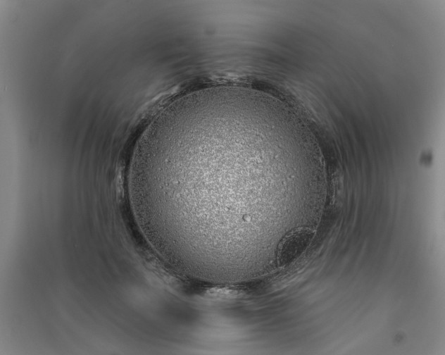 X0000091370699200708171545