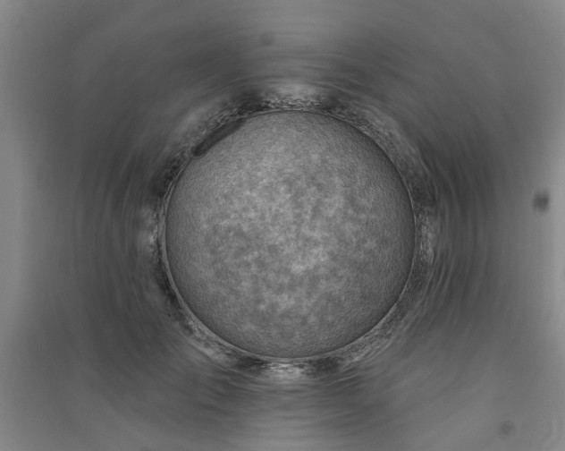 X0000091370701200708171545