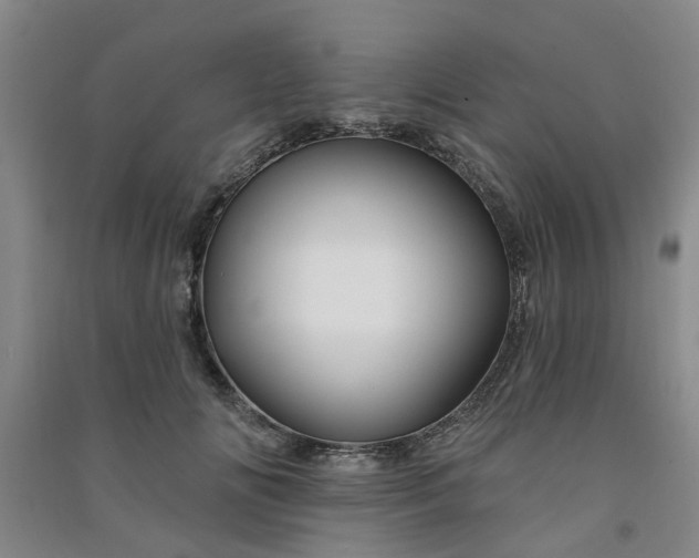 X0000091370702200708171545