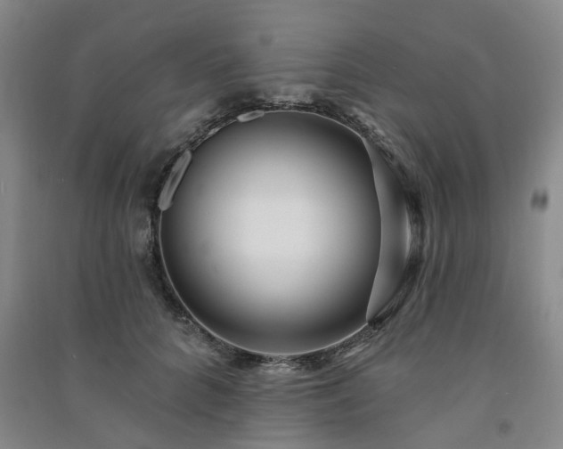 X0000091370704200708171545