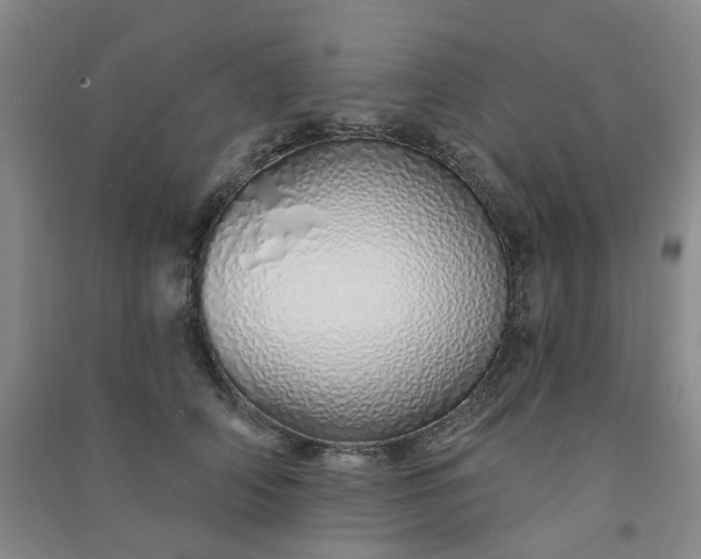 X0000091370706200708171545