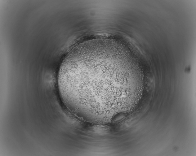 X0000091370707200708171545