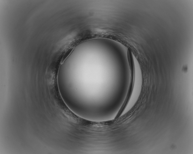 X0000091370708200708171545