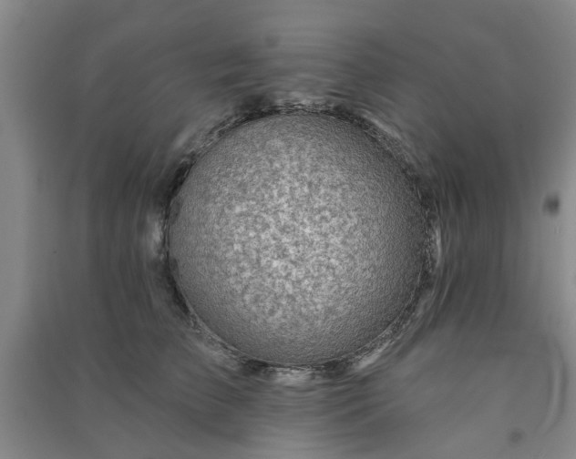 X0000091370709200708171545