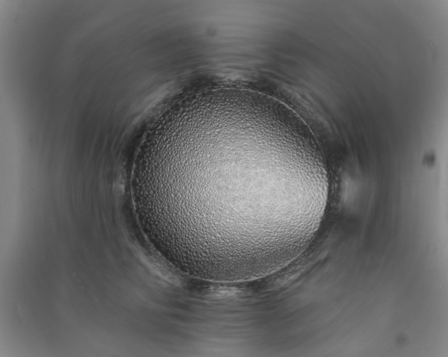 X0000091370710200708171545