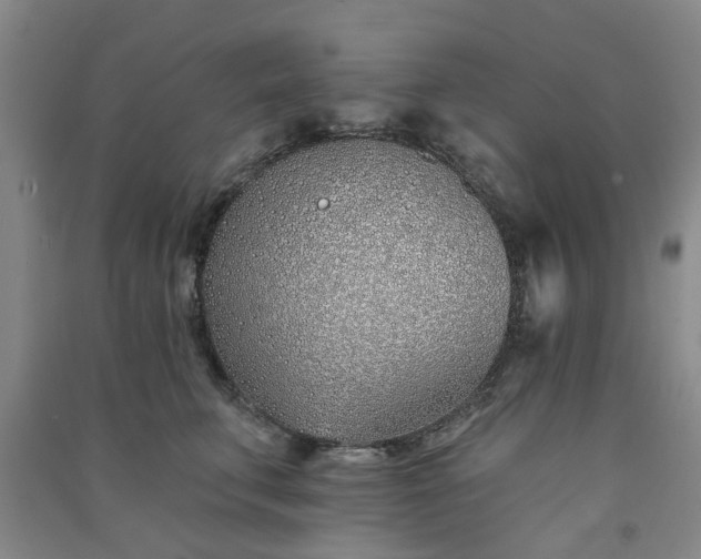 X0000091370711200708171545