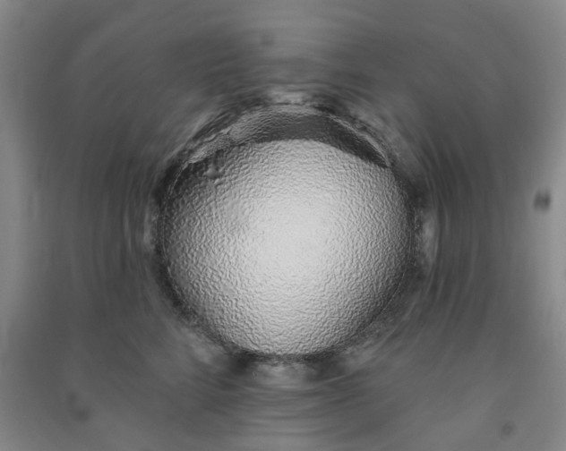 X0000091370712200708171545