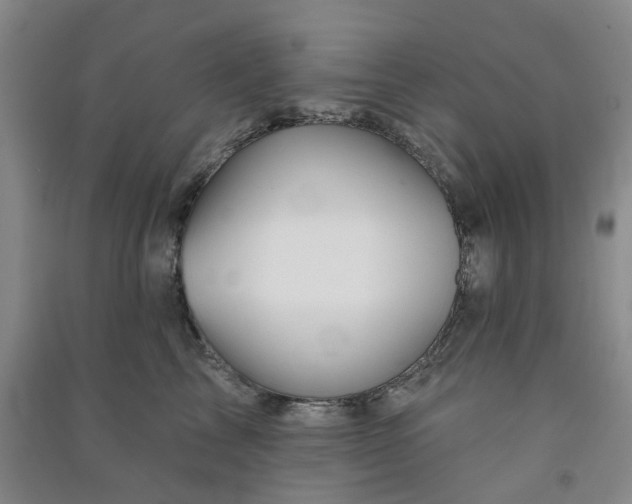 X0000091370713200708171545