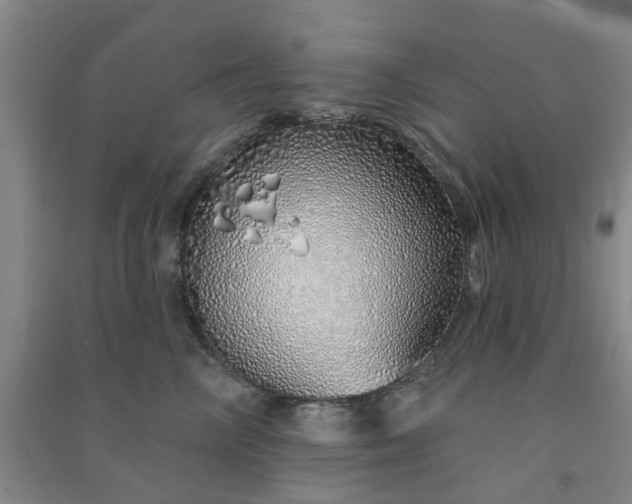 X0000091370714200708171545