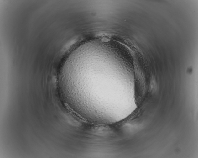 X0000091370716200708171545