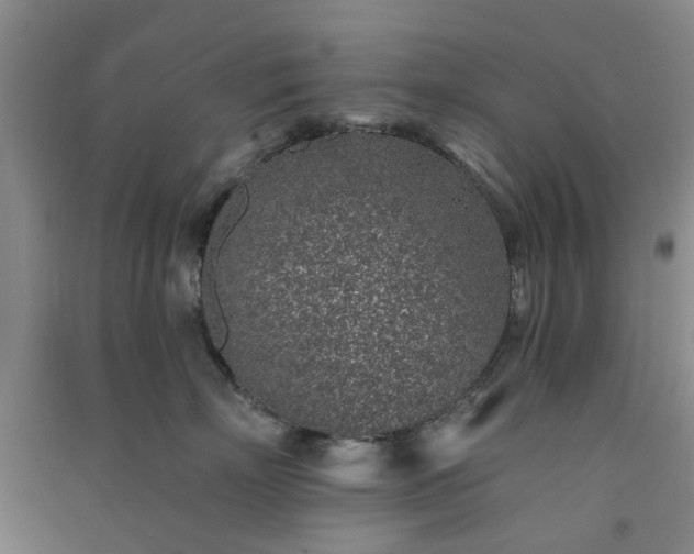 X0000091370718200708171545