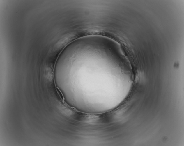 X0000091370719200708171545