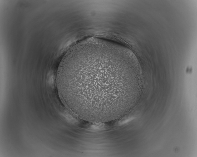 X0000091370720200708171545