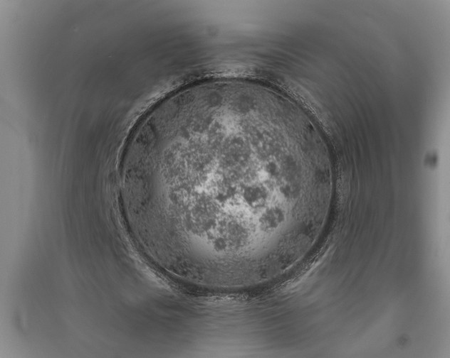 X0000091370721200708171544