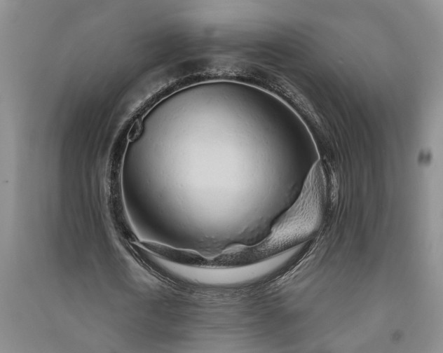 X0000091370722200708171544