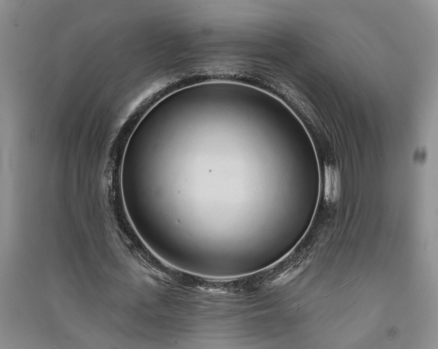 X0000091370723200708171544