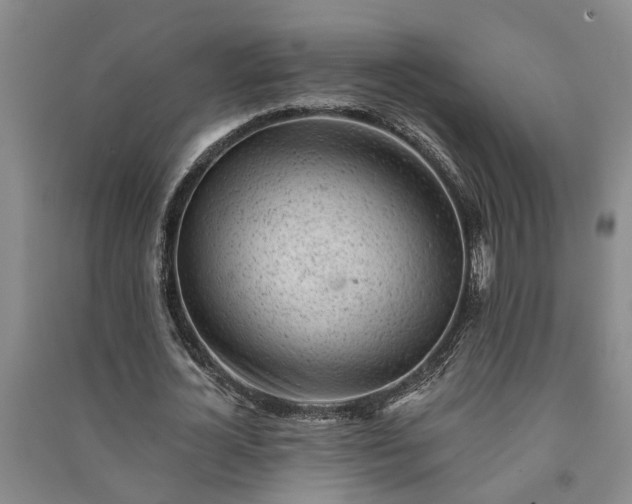 X0000091370724200708171544