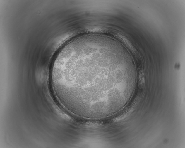 X0000091370725200708171544