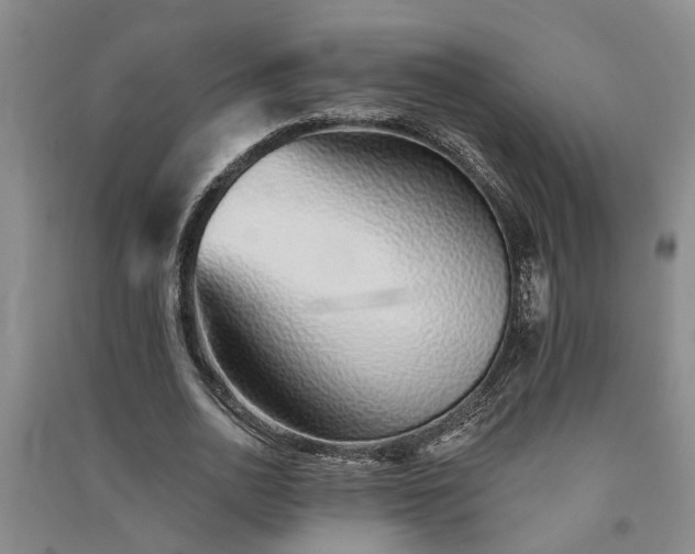 X0000091370726200708171544