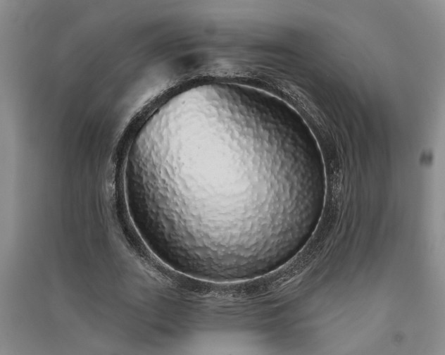 X0000091370727200708171544