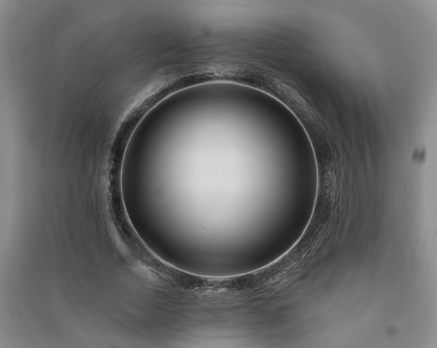 X0000091370730200708171544