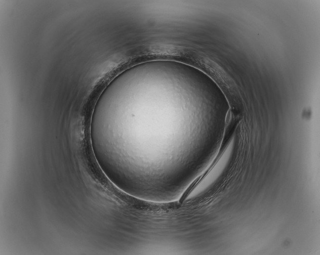 X0000091370731200708171544