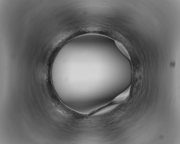 X0000091370732200708171544