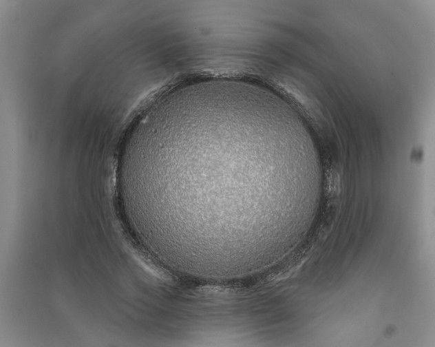 X0000091370733200708171545