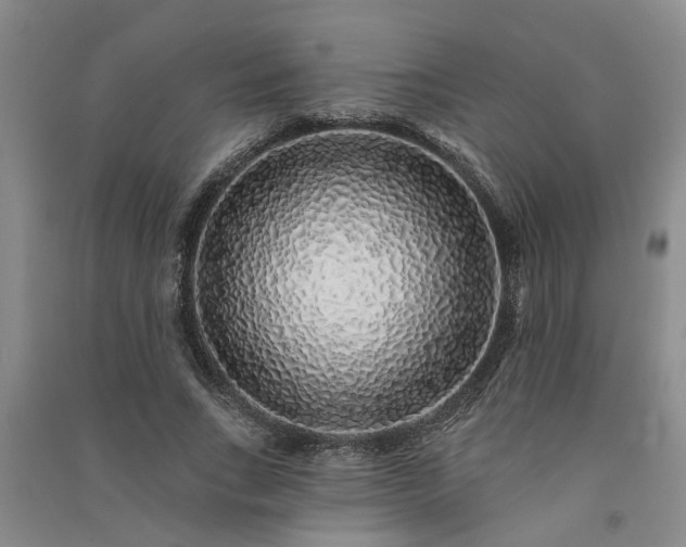 X0000091370735200708171545