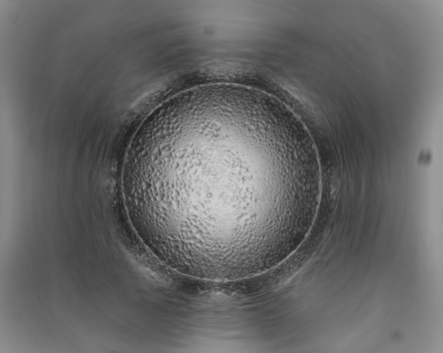 X0000091370737200708171545