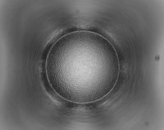 X0000091370738200708171545