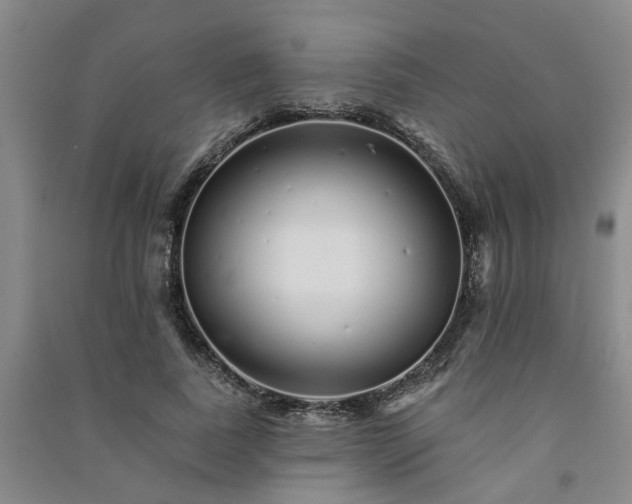 X0000091370739200708171545